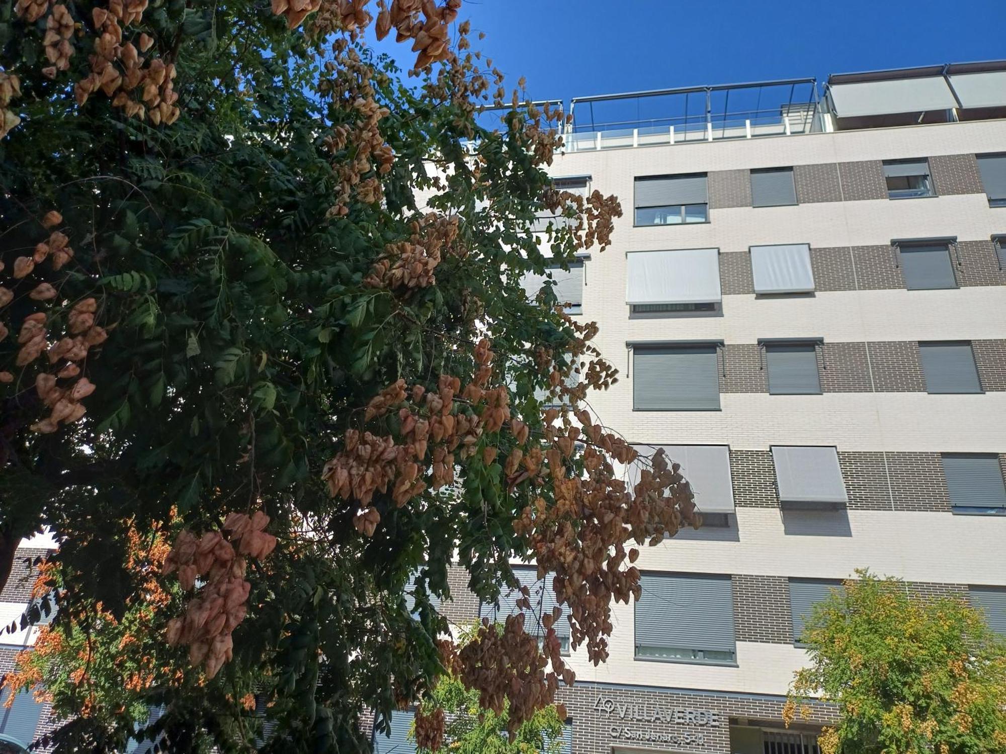 Familiar Centro Apartamento Madrid